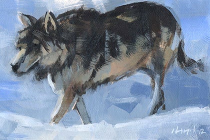 Original Painting Wolf Wildlife Nature Sketch Acrylic Quick Study - Wolf by David Lloyd