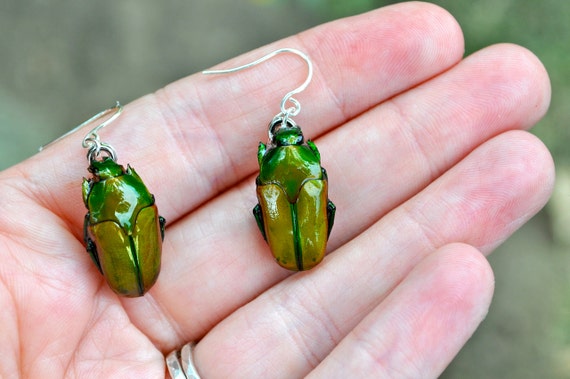 beetle earrings
