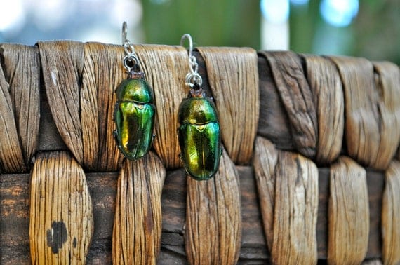 Floating Real Stag Beetle Earrings Green & Rust Moonrise Kingdom Movie