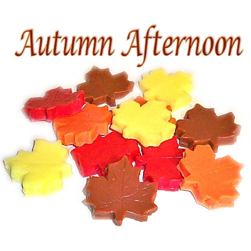 12 Autumn Afternoon Tarts Wickless Candle Melts Colorful Leaves Shape Woods after Rain Scent