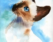 Siamese Seal Chocolate Point cat art Print of my watercolor painting