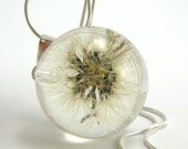Whole Dandelion Pendant, Medium Resin Round with Sterling Silver Chain