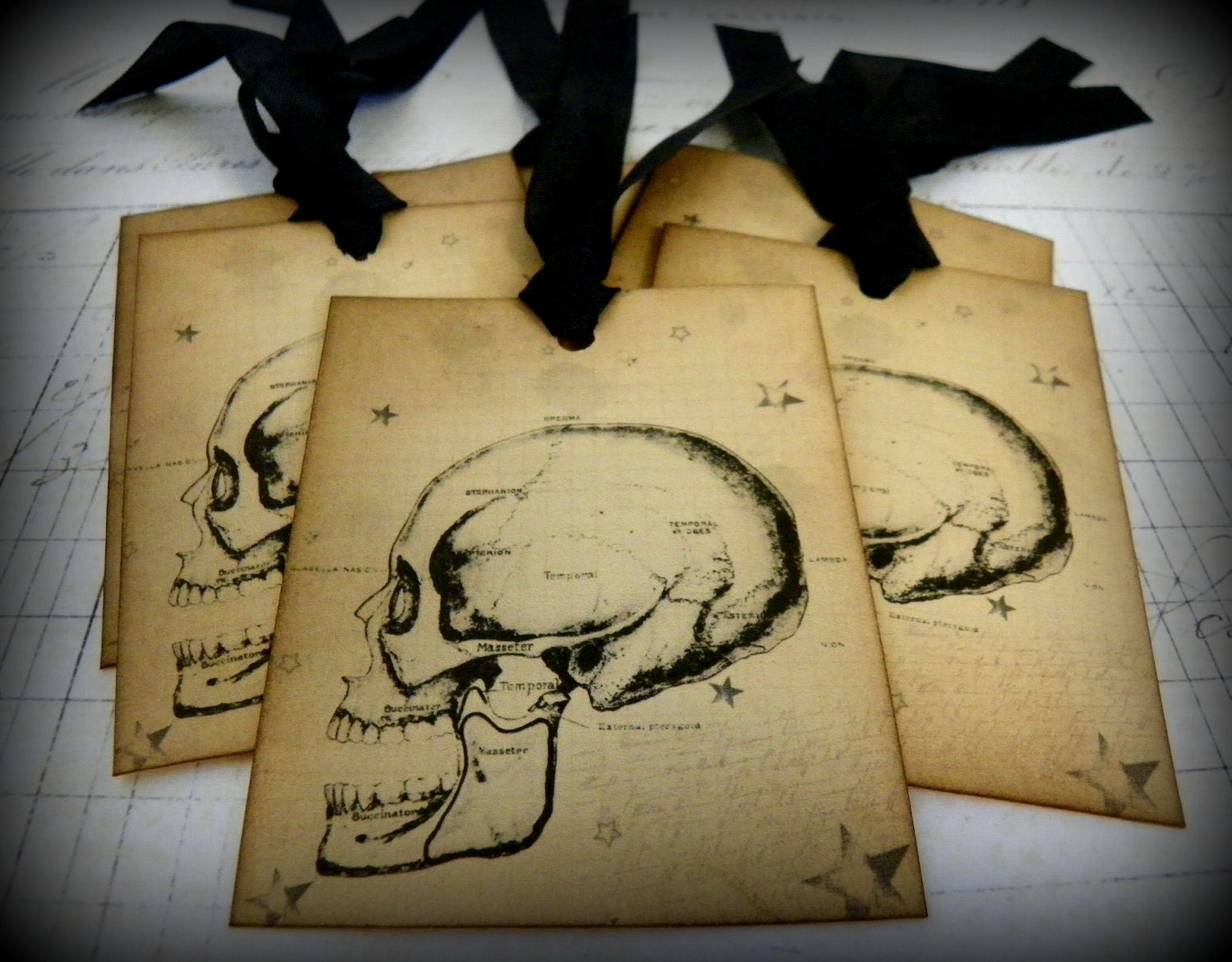 Skulls Set-Vintage Style  Gift Tags