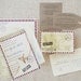 Vintage Air Mail Destination Wedding Invitation (Mexico) - Design Fee