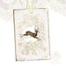 Deer Gift Tags, Christmas, Winter, Woodland, White, Shabby, Vintage Style, Holiday