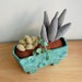 SALE Stuffed Succulents