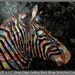 Original Zebra Painting Large abstract contemporary metallic multicolor black palette knife impasto fine art by Susanna 36x24