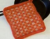 Hand Knit Felted Wool Potholder