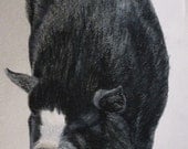 Cute Black Piggy Pet Portraits Original Watercolor Memorial U Provide Picture or Idea 5 x 7 inch by Pigatopia