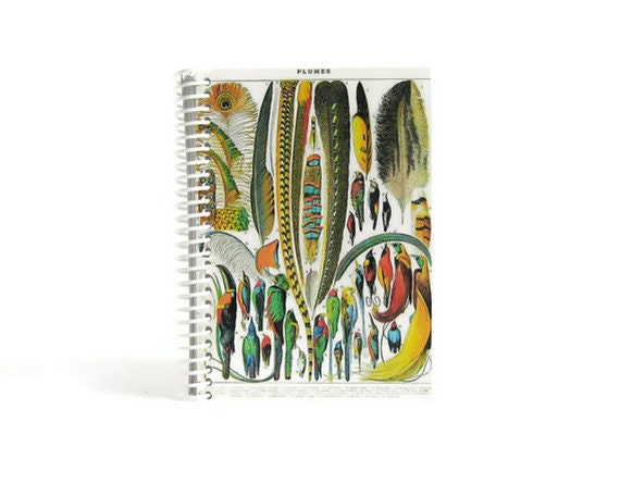 Feathers - Notebook Spiral Bound - 4 x 6