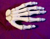 Barrette - Skeleton Hand Hair Clip - Skelly Hand