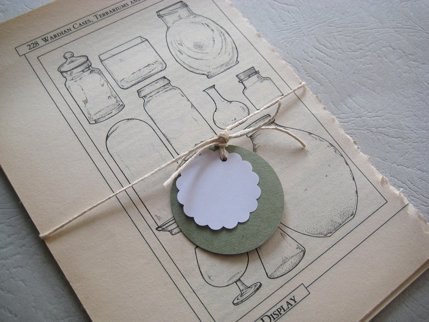 Vintage Paper Home Plants - bundle pack of 15 pages Illustrated 1970s Plants Green Thumb