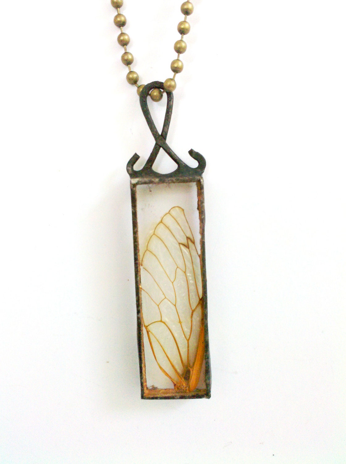 Fairy Wing Glass Specimen Locust Wing Pendant Necklace