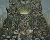 Light of the Owls - 8 1/2 x 11 Print