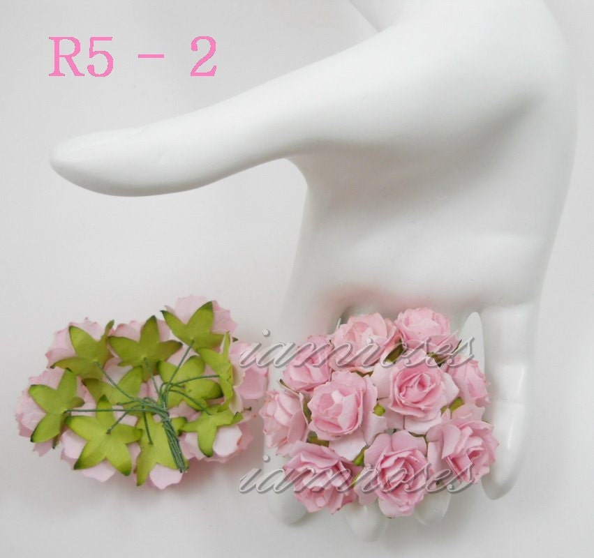 Mulberry Roses in Soft Pink Set of Ten Il_170x135