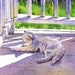White Cat Laying in Sun Original matted watercolor