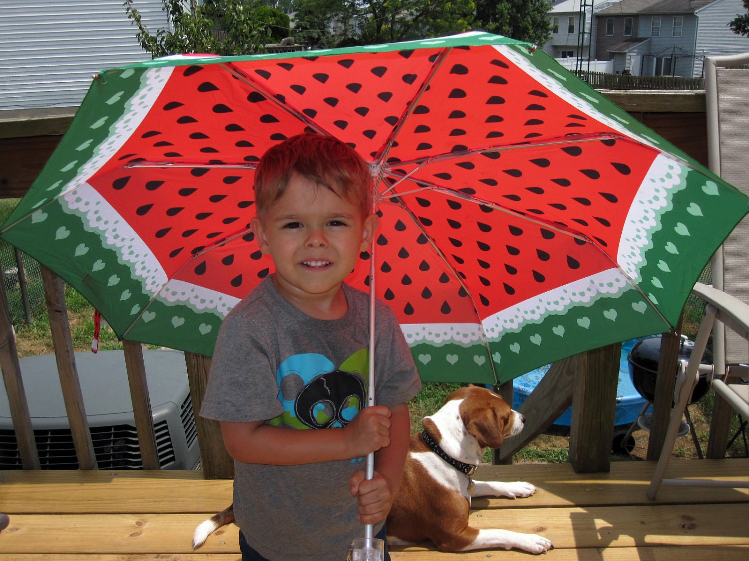 LAST ONE Watermelon and Lace Umbrella