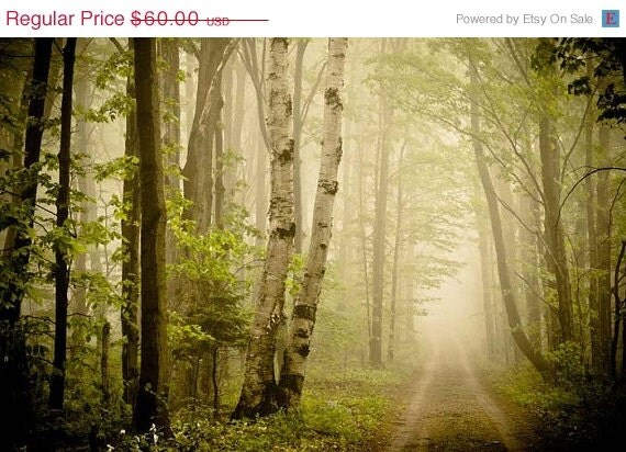 4th of July Sale Spring .Dreamy green woodland print. Large photograph . nature photography . 16x20 . fairytale . cottage art . Road Less T