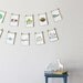 Nature Themed Counting Number Cards in English