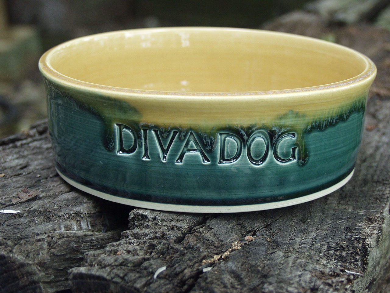DIVA DOG Ready to Ship Pottery Dog Bowls Feeding Water Dish Bowl Medium