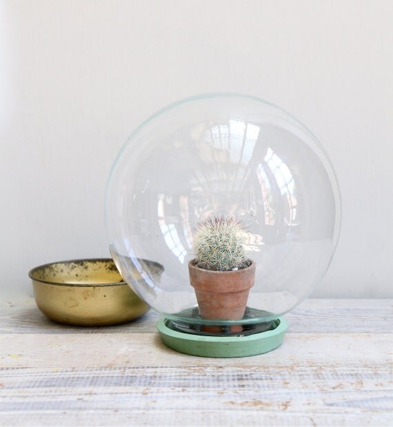 ON HOLD  Vintage Glass Terrarium Display Dome