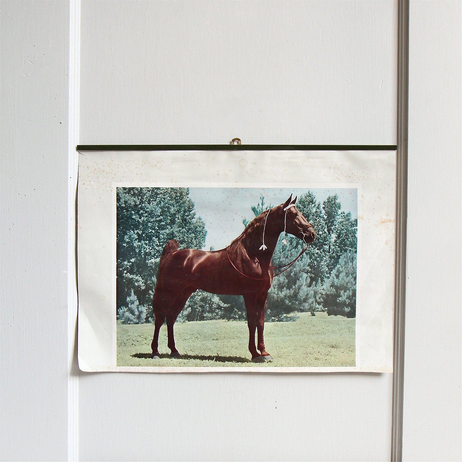 Vintage Horse Portrait Wall Hanging