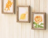 Dollhouse Wall Art - Peach Flowers in 1/12 Dollhouse Miniature Scale - Set 2