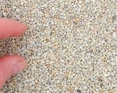 Miniature Garden Pebbles for Mini Fairy Terrarium Fairy Path Patios, 3lbs, Pretty Ivory