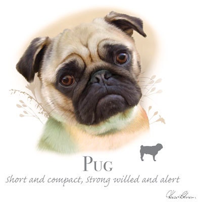 PUG dog fabric - Large Picture on One Fat Quarter Fabric Panel with ...