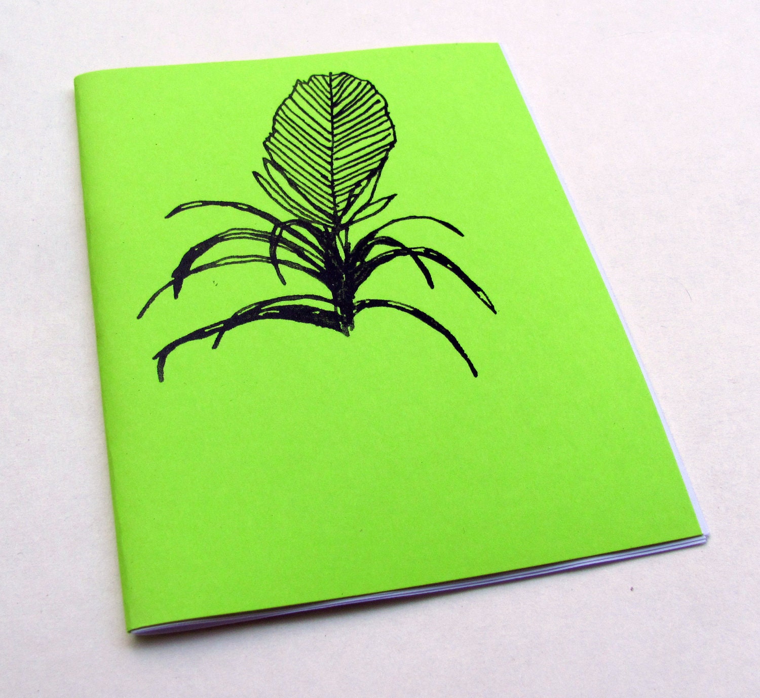 A coloring book of Plants