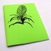 A coloring book of Plants
