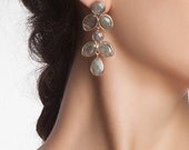 Labradorite drops of joy Earrings