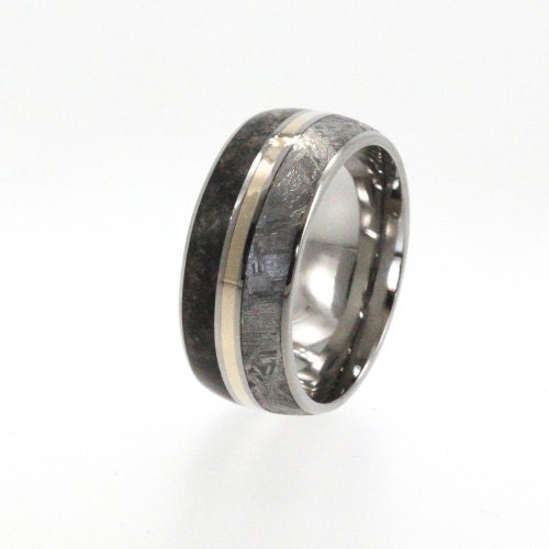 Meteorite Wedding Band / Titanium Ring inlaid with Meteorite Dinosaur Bone and 14K Yellow Gold