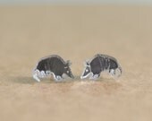 Acrylic Shiny Armadillos Post Earrings