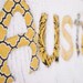 Monogrammed Baby Blanket in EQUINOX, Grey Dot Minky and White Chenille, Personalized with Your Baby Boy's First Name in Mustard Fabrics