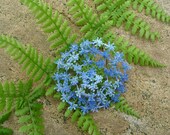 Blue Flower brooch - textile art, lacy machine embroidery on dissolvable fabric
