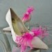 Wedding Bridal Party Peacock  Pink Ostrich Feather Shoe Clips Set Of Two 8 Center Rhinestones To Choose From