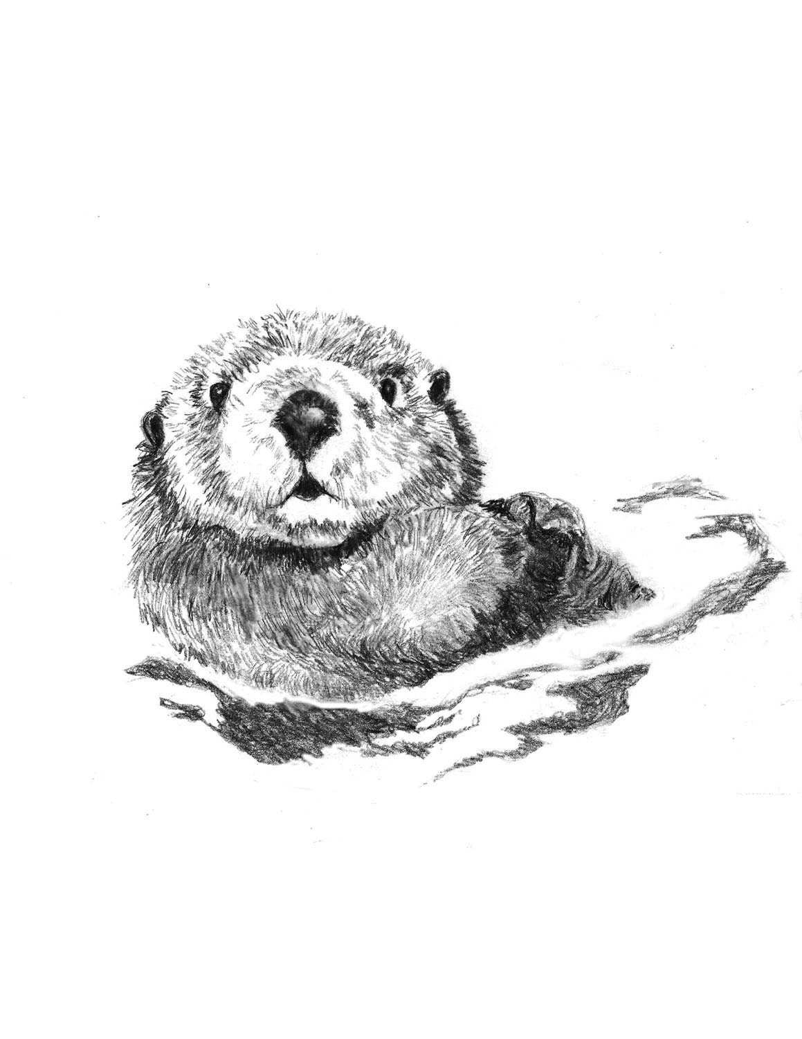 Otter Art Little Swimmer Otter Drawing by corelladesign on Etsy
