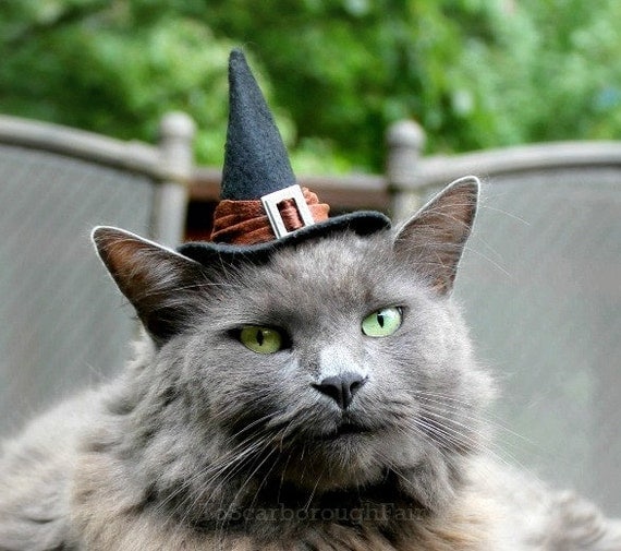Cat Costume - Witch Hat - Good Witch