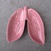Vintage pink novelty LUNG DISH ceramic