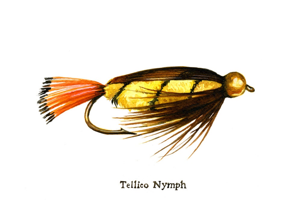 Tellico Nymph