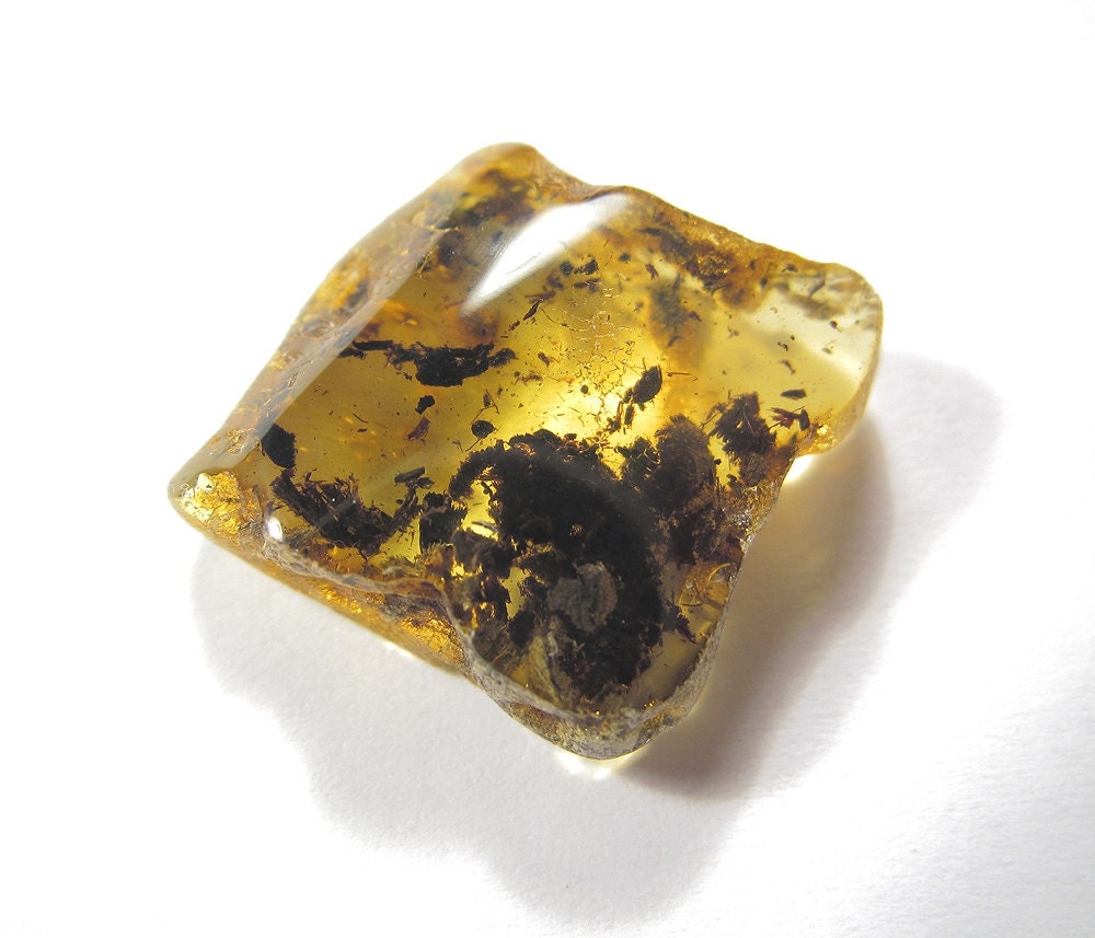 Piece of the raw Baltic amber with some inclusions. EM234