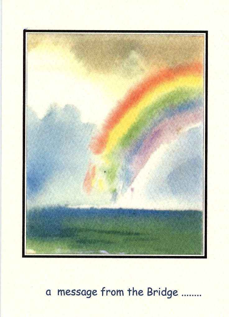 Rainbow Bridge Pet Sympathy Cards Dogs Cats Horses A Message From The Bridge Comfort Pet Loss