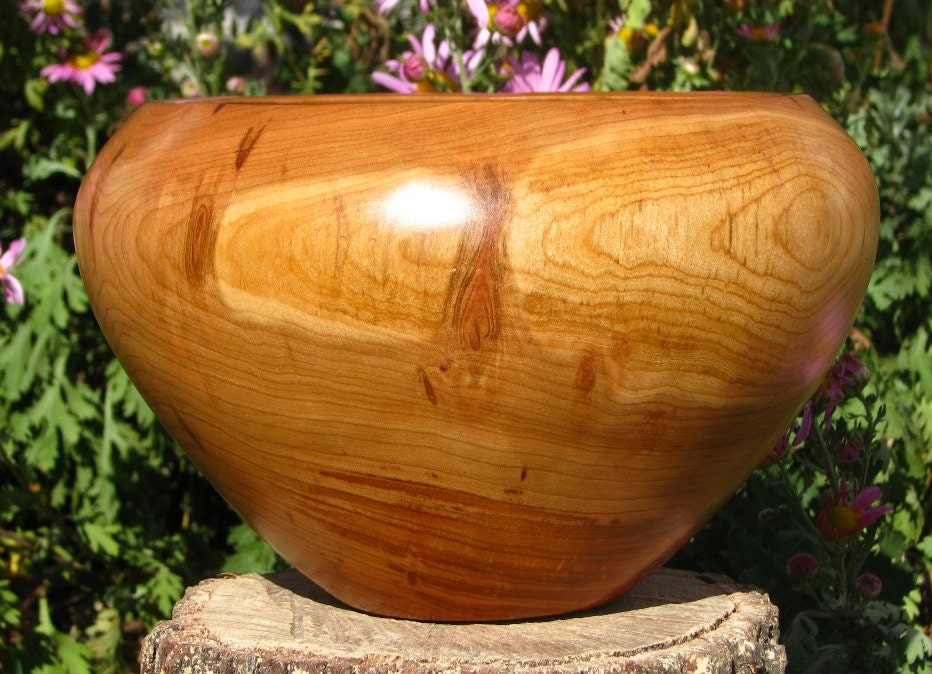 Woodpecker damaged cherry bowl with bug holes