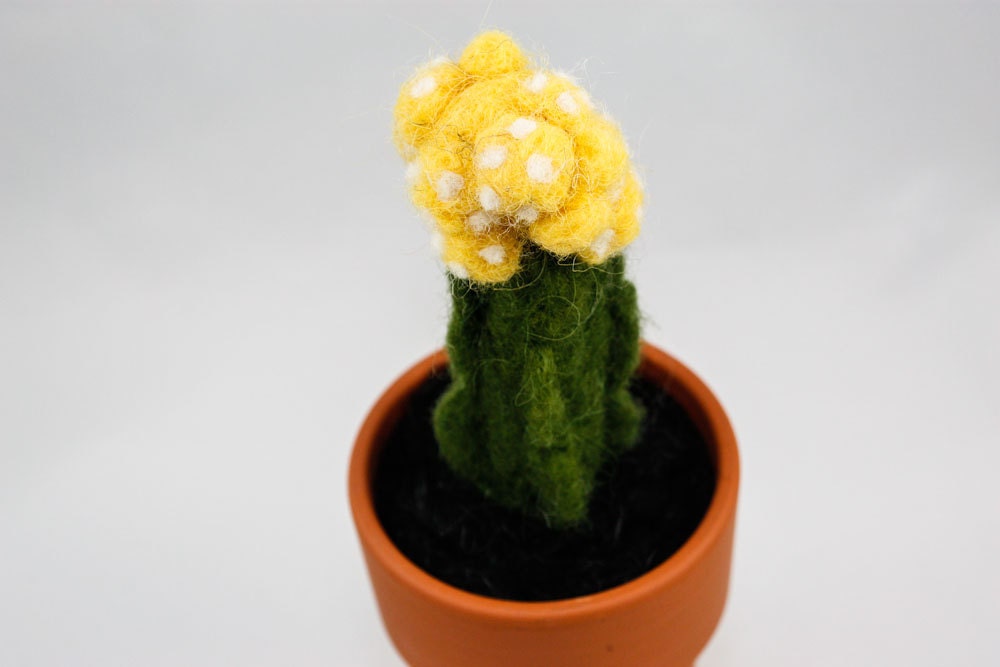 Felted Cactus (Segmented Yellow Succulent)