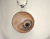 Resin photo pendant - My Heart Hangs Ten - 1 inch circle wearable art tropical summer beach vacation neutral shell heart