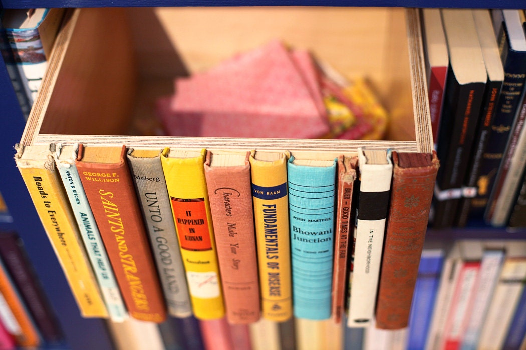 The Original Modern Library Storage Bin, Stylish Storage for cd's, dvd's, magazines, and other much loved clutter