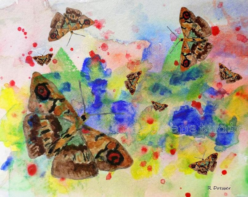 Butterfly Garden print 8x10 colorful fine art home decor digital collage from original paintings