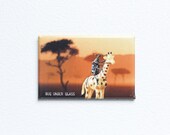Fridge Magnet Insect Safari Stocking Stuffer