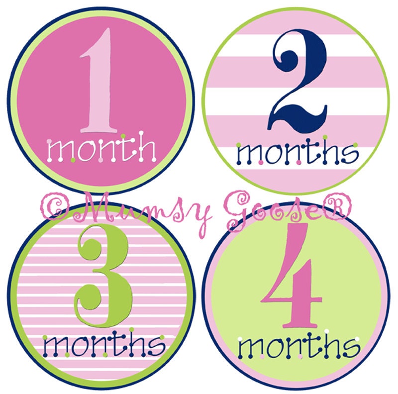Baby Girl  Onesie Stickers Baby Months Stickers Girl Onsies Month Baby stickers Waterproof  Great Newborn Photo Prop